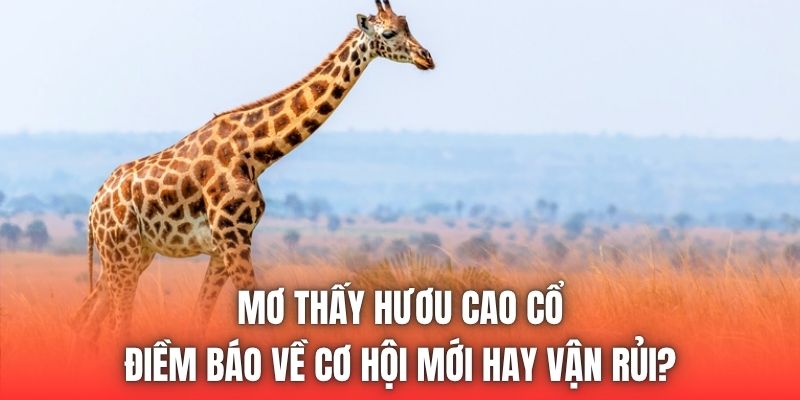 Mơ Thấy Hươu Cao Cổ - Điềm Báo Về Cơ Hội Mới Hay Vận Rủi?