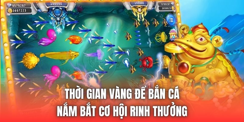 Thời Gian Vàng Để Bắn Cá - Nắm Bắt Cơ Hội Rinh Thưởng